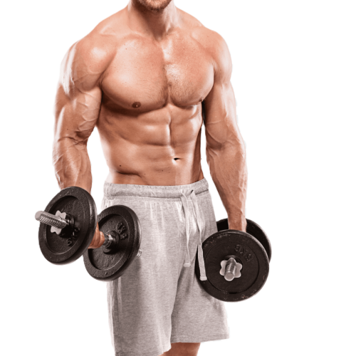 1255-x-1433-8-gym-workout-11563312833jzwc7nr1pm